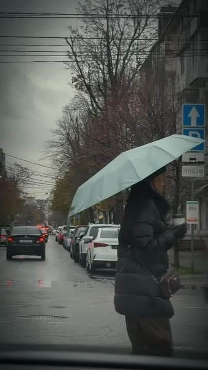 Доброе утро, Краснодар!. Сегодня в городе ожидается тёплая, ветреная и дождливая погода
