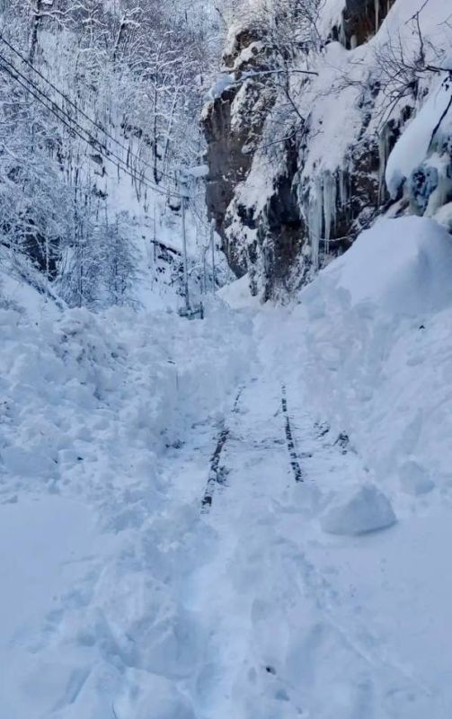 ����� �� ������ � �������� ������: ������ � ������� ���� �������