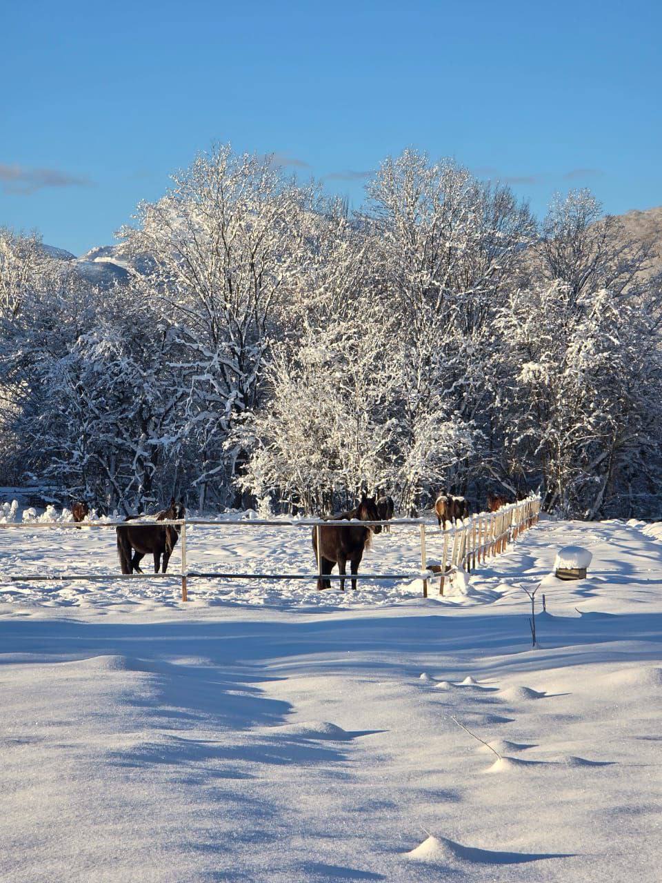 О погоде на 4 января . В Краснодарском крае переменная облачность, дождь