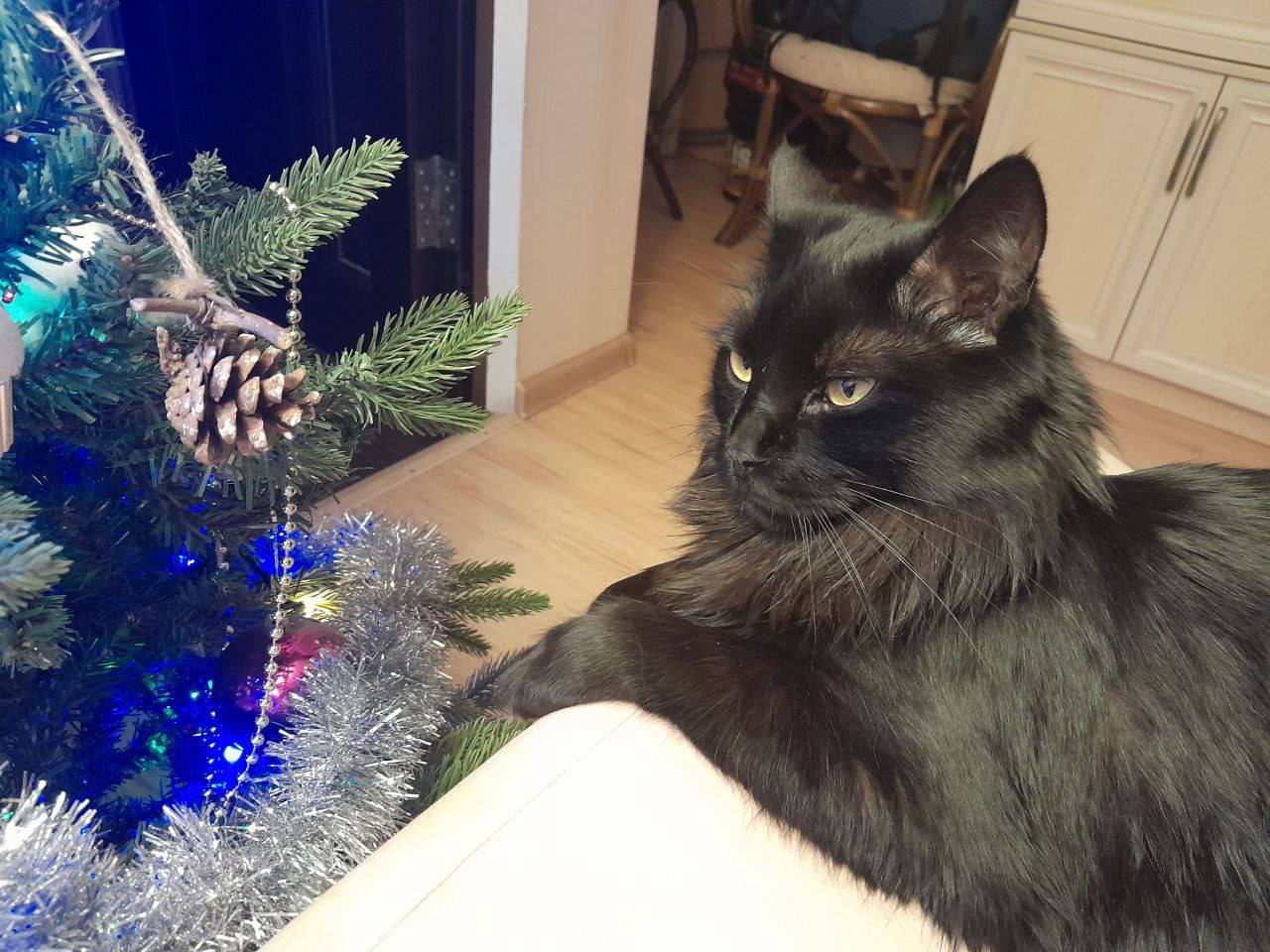 Доброе утро, Кубань!. Краснодар +10 °С Доброе утро, Кубань!. Краснодар +10 °С