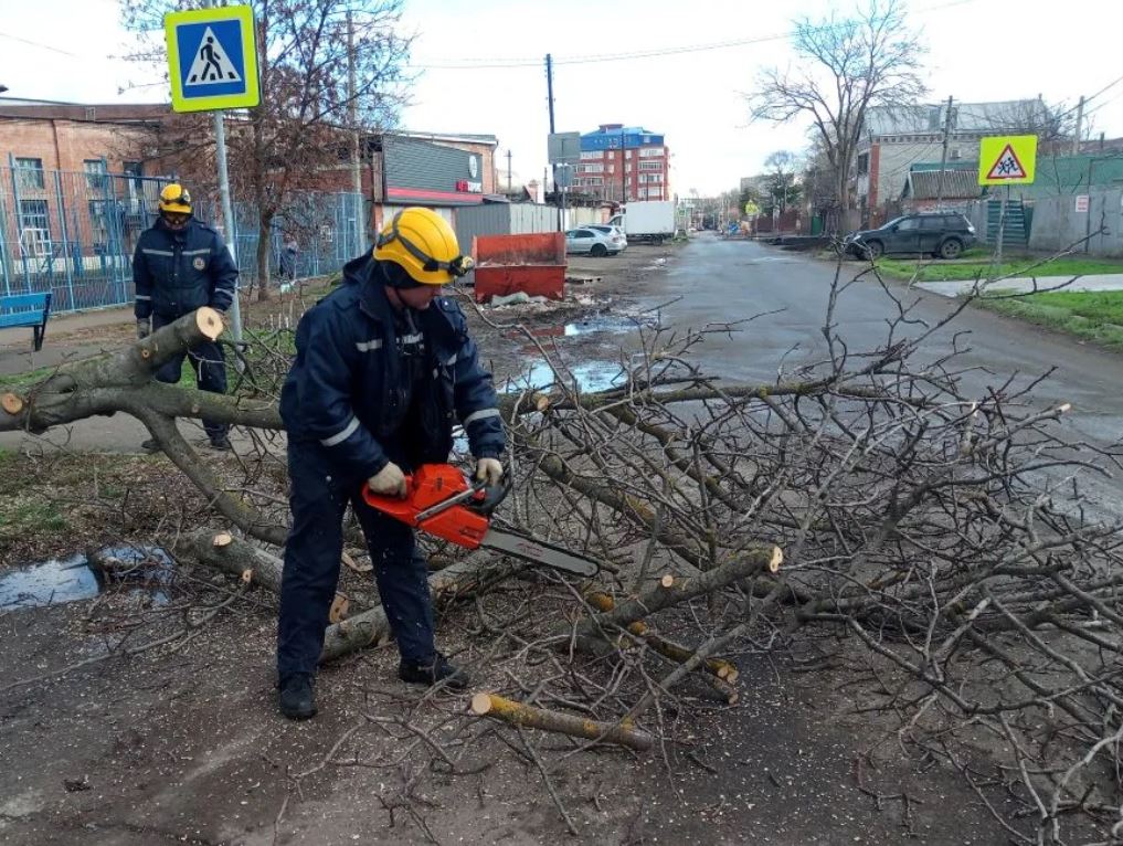 Спасатели устраняют последствия сильного ветра в Краснодаре