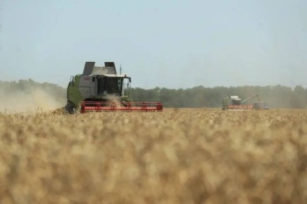 Объём производства агропродукции в Краснодаре по итогам 2025 года превысил 13,5 млрд рублей