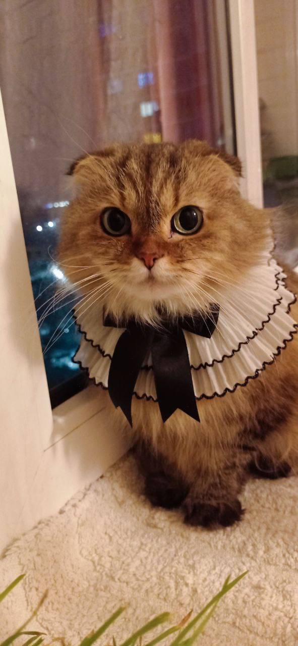 О погоде на 4 января . В Краснодарском крае переменная облачность, дождь О погоде на 4 января . В Краснодарском крае переменная облачность, дождь