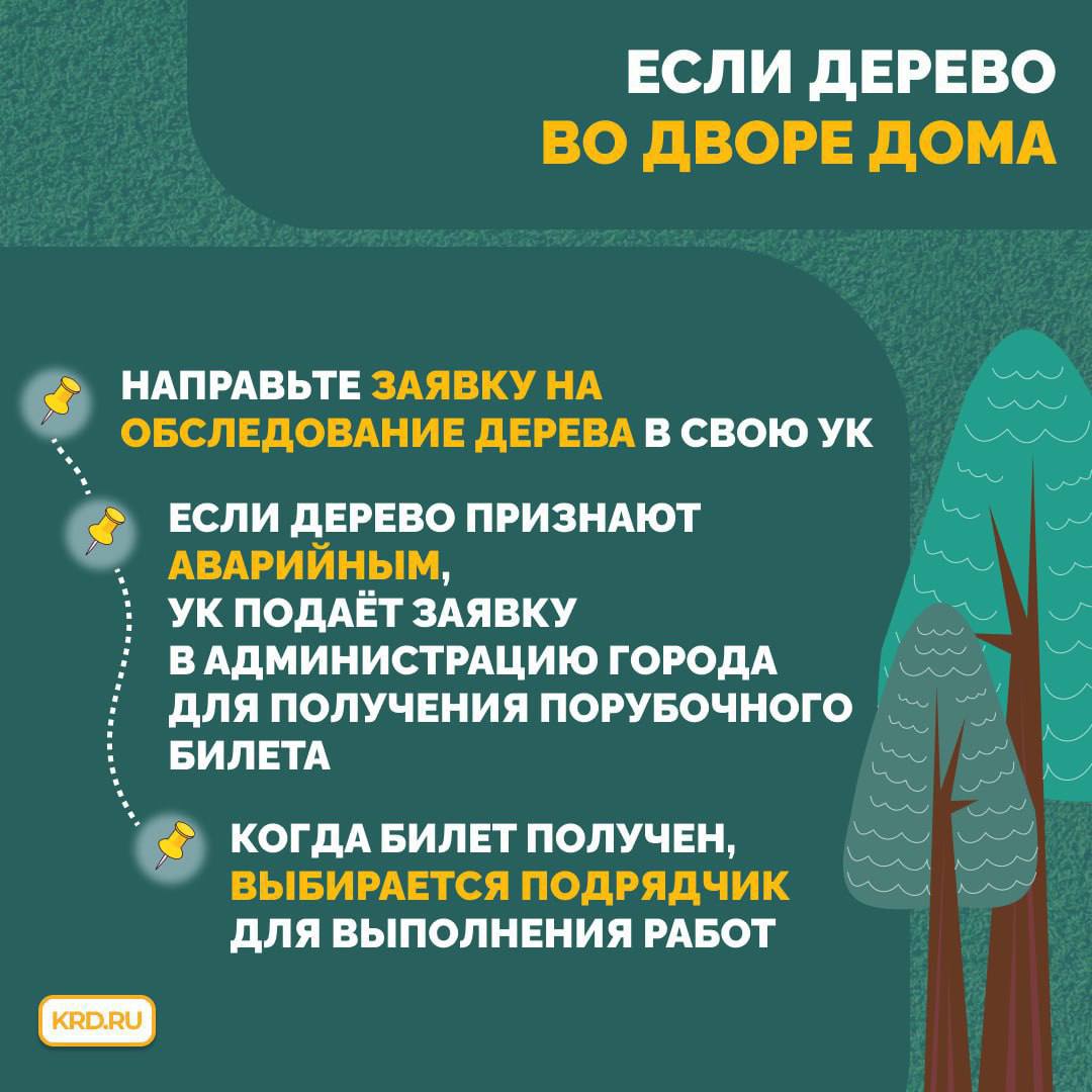 В городе усиливается ветер В городе усиливается ветер