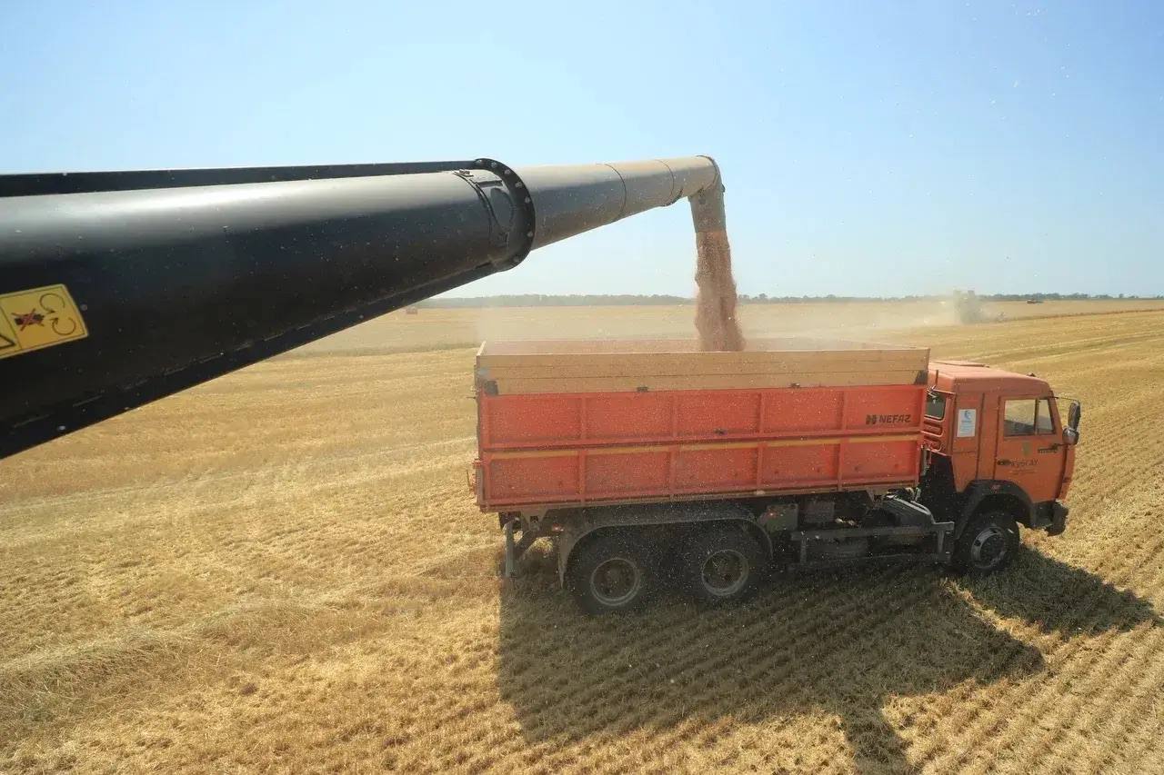 В 2025 году объём производства сельхозпродукции Краснодара превысил 13,5 млрд рублей