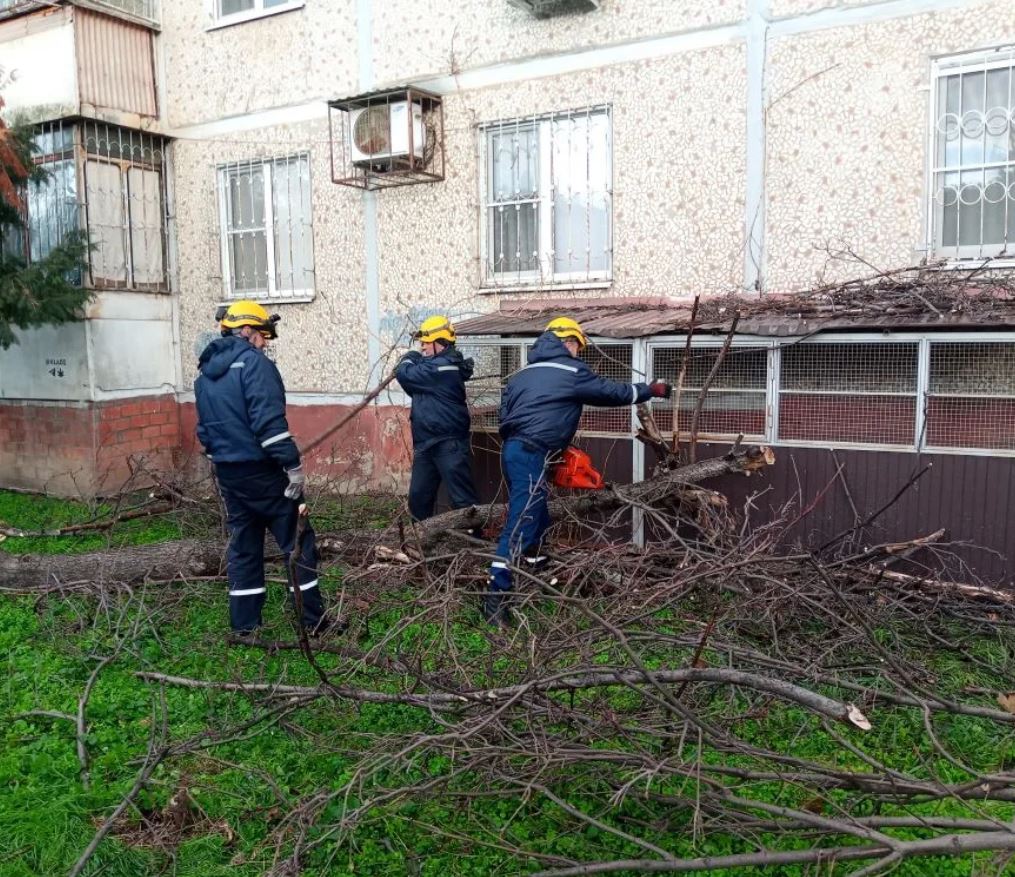 Спасатели устраняют последствия сильного ветра в Краснодаре Спасатели устраняют последствия сильного ветра в Краснодаре