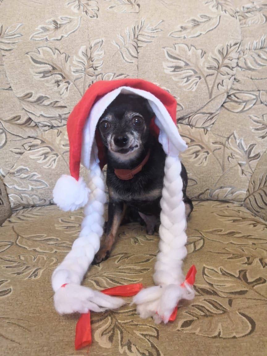 Доброе утро, Кубань!. Краснодар +10 °С Доброе утро, Кубань!. Краснодар +10 °С