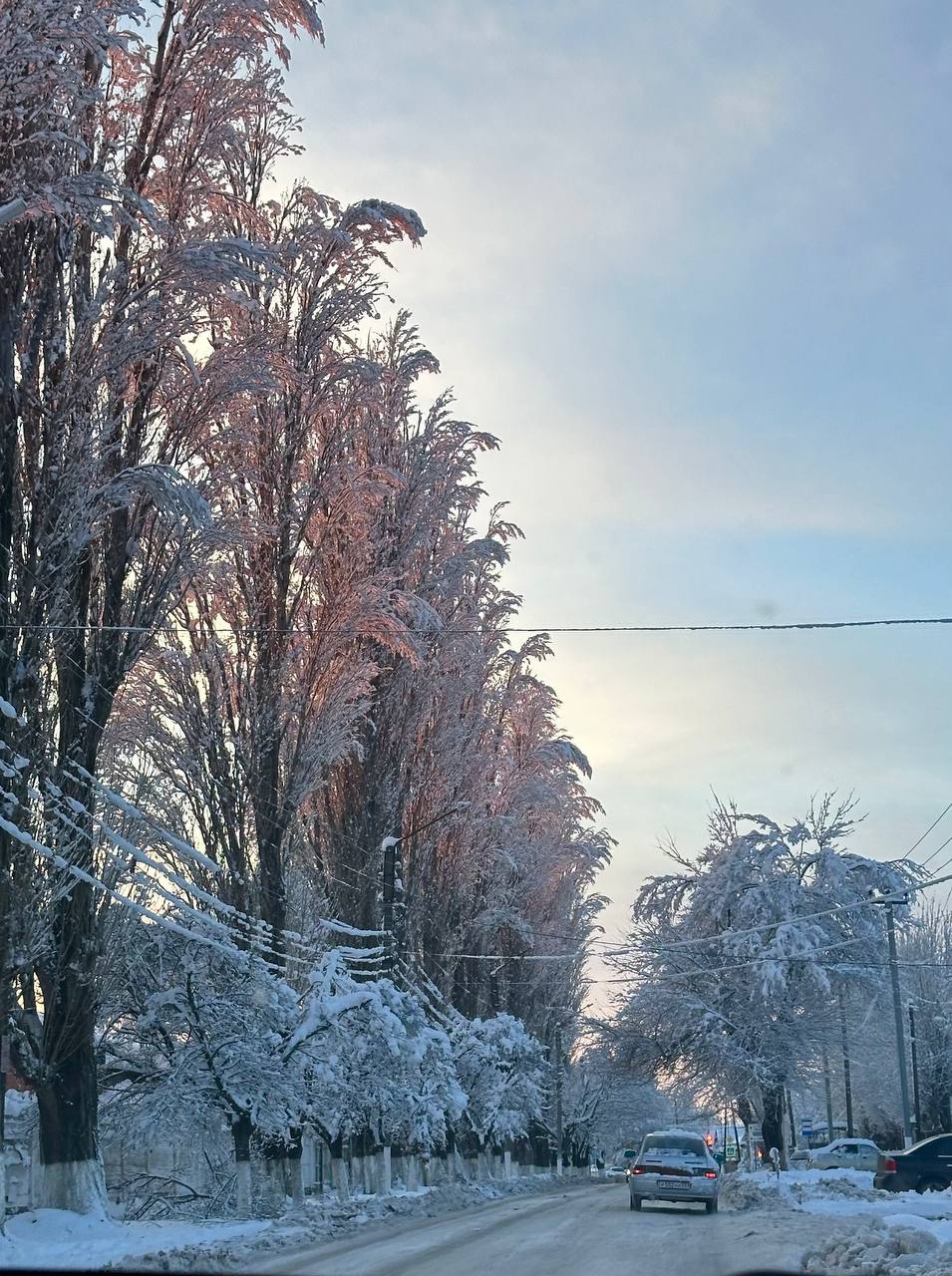 О погоде на 4 января . В Краснодарском крае переменная облачность, дождь О погоде на 4 января . В Краснодарском крае переменная облачность, дождь