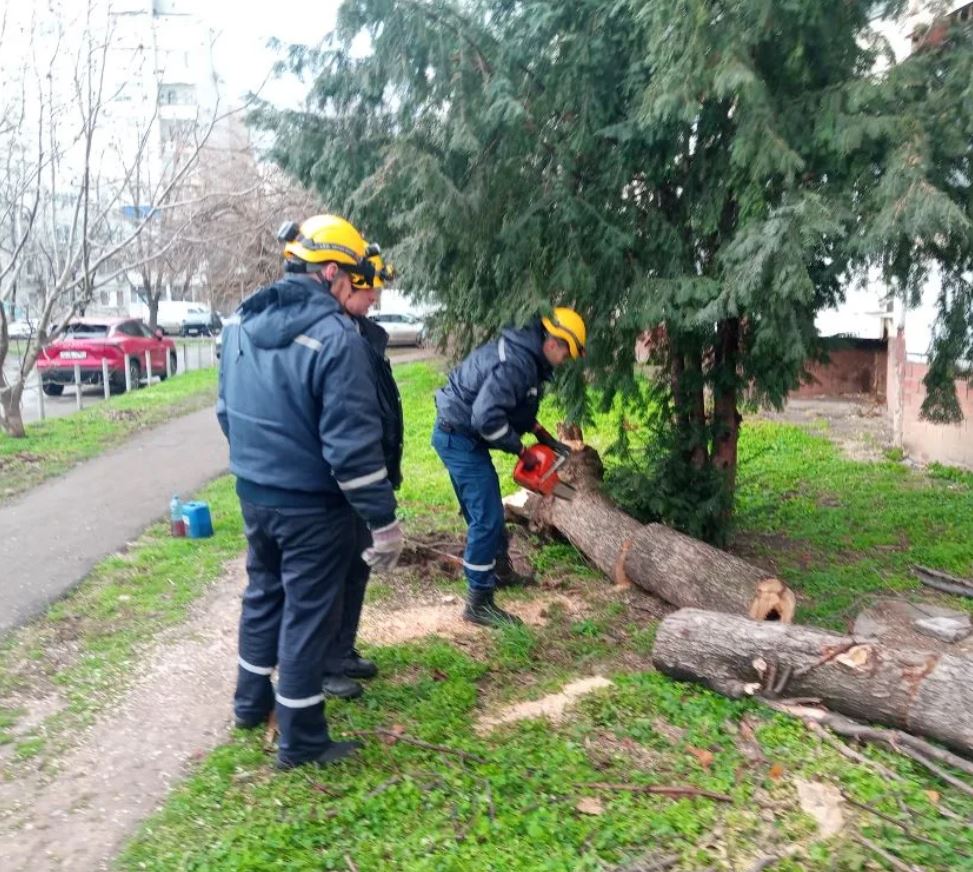 Спасатели устраняют последствия сильного ветра в Краснодаре Спасатели устраняют последствия сильного ветра в Краснодаре