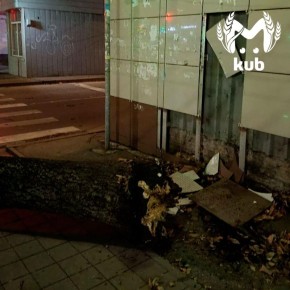 Мощный ветер повалил дерево на перекрестке Ставропольской и Айвазовского в Краснодаре