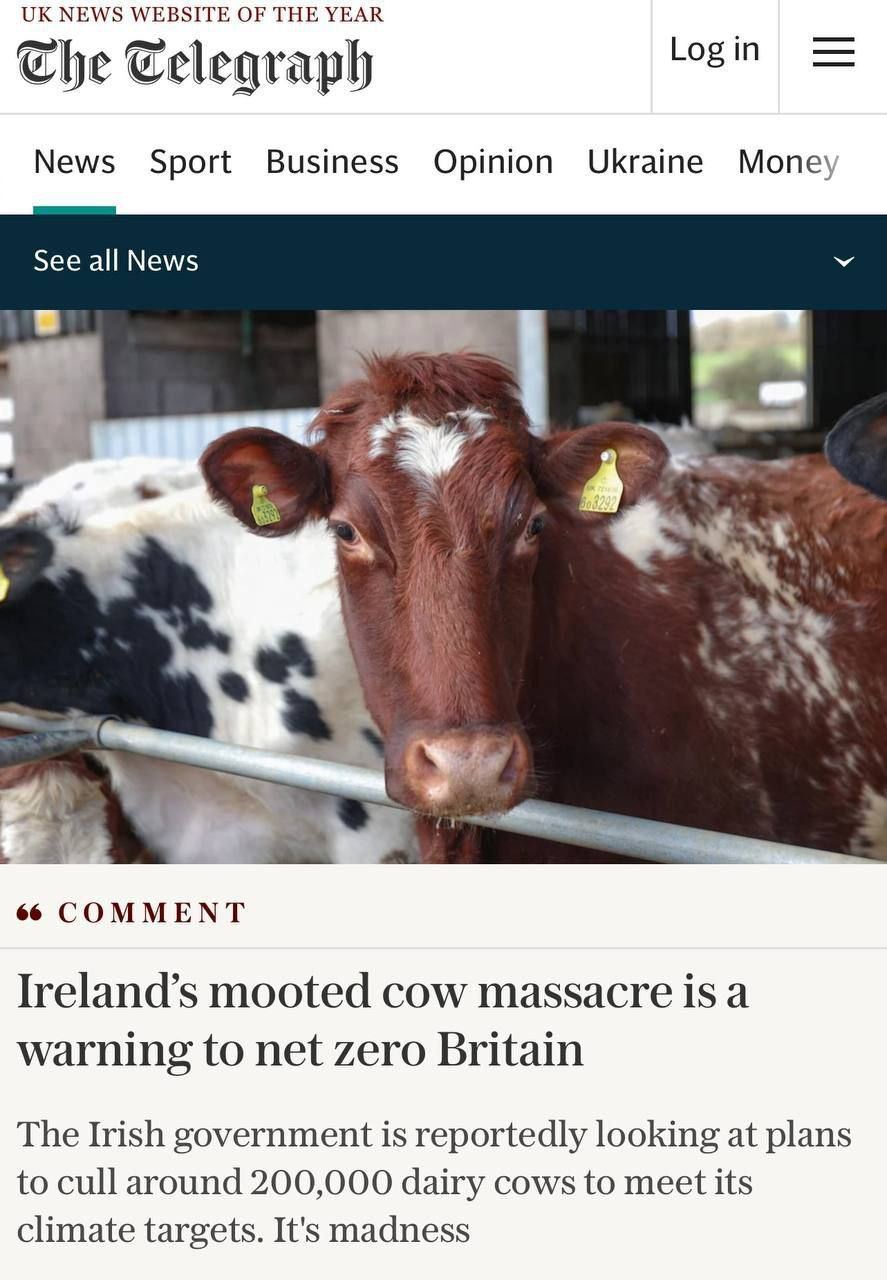 200.000 дойных коров планируют забить в Ирландии во имя "борьбы с изменением климата"