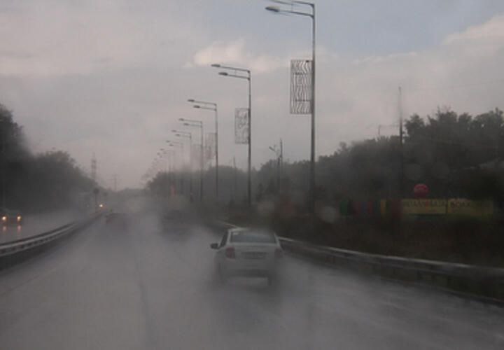 В Краснодаре сильный ветер повалил деревья, порывами оказались перевернуты остановки, сорваны дорожные знаки.