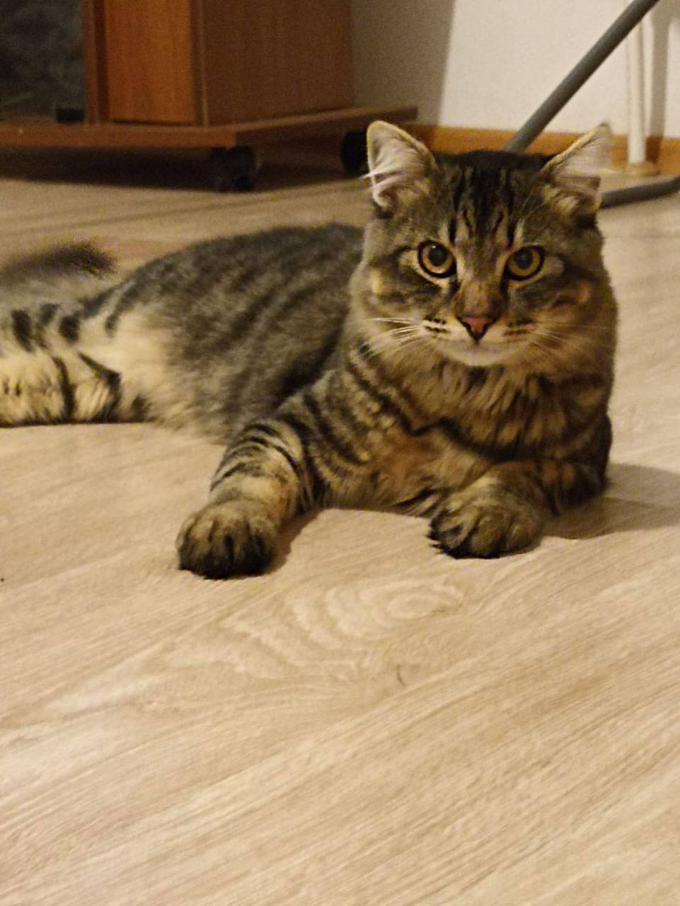 Доброе утро, Кубань!. Краснодар +13 °С Доброе утро, Кубань!. Краснодар +13 °С