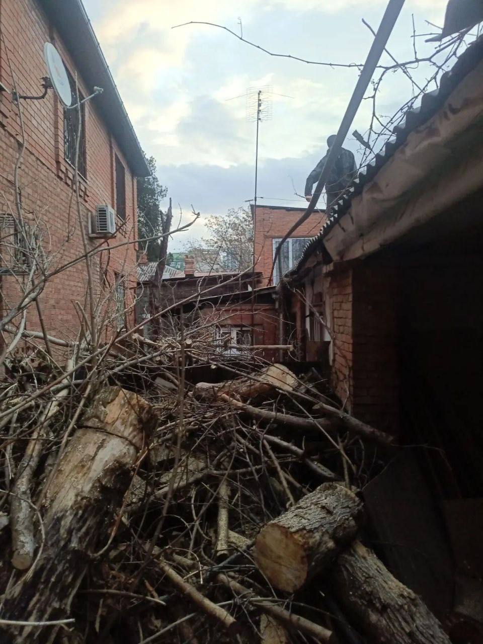 Упавшее дерево повредило газопровод в Краснодаре Упавшее дерево повредило газопровод в Краснодаре