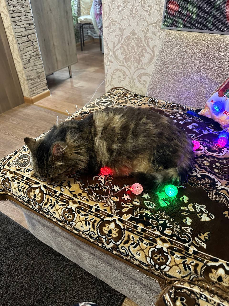 Доброе утро, Кубань!. Краснодар +13 °С Доброе утро, Кубань!. Краснодар +13 °С