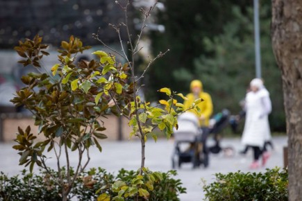 ����������. ������ ������ ������ ������