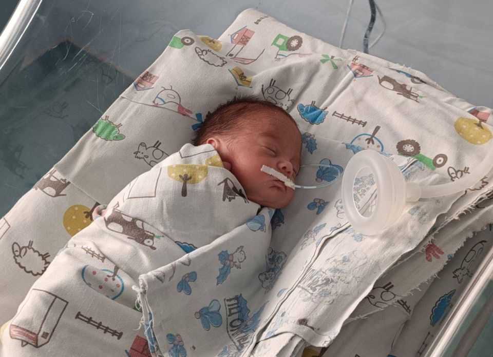 ����� ����� �������� �� ������ �� �����