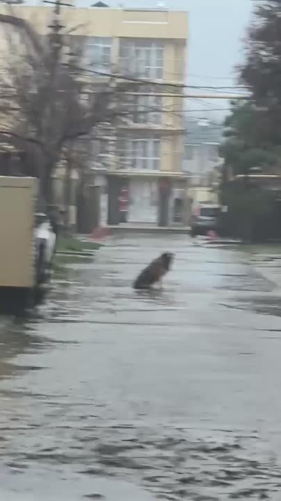 Я – это дождь, дождь – это я