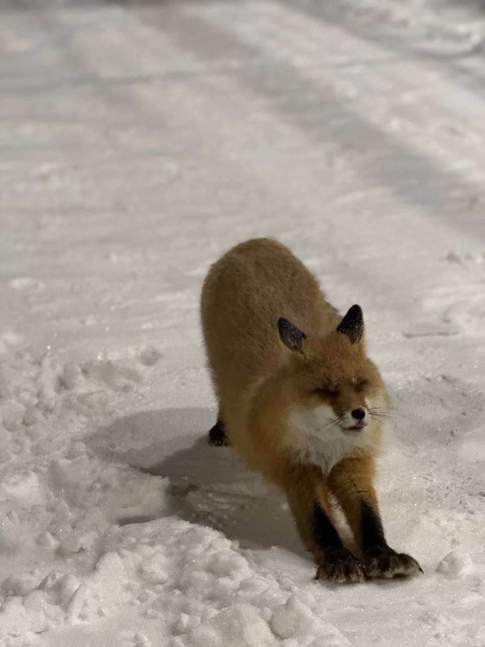 Доброе утро, Кубань!. Краснодар +13 °С Доброе утро, Кубань!. Краснодар +13 °С