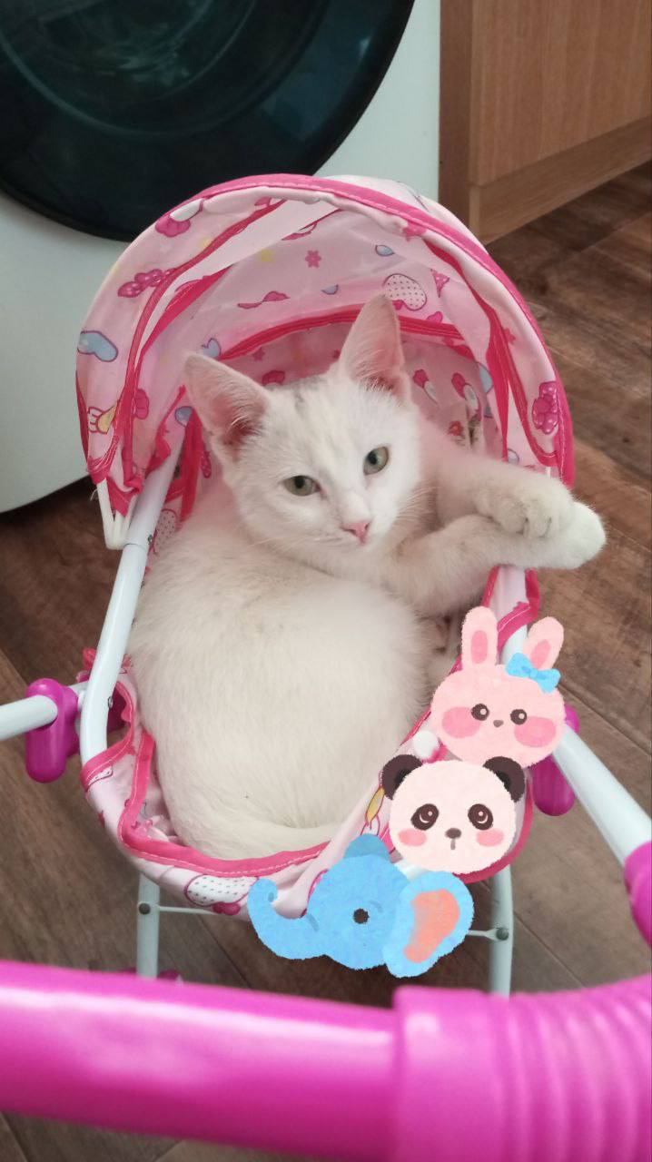 Доброе утро, Кубань!. Краснодар +13 °С Доброе утро, Кубань!. Краснодар +13 °С