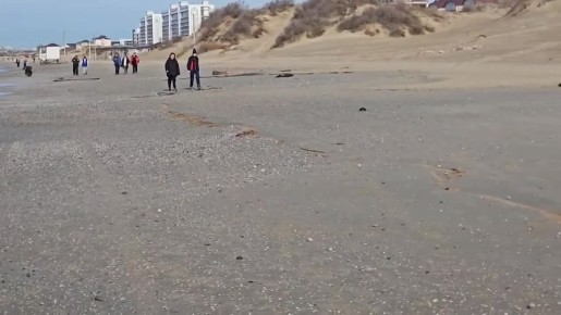 ������� ������ �� ������ ����� ������ ������������ � �����