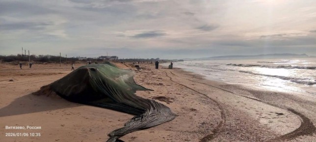 �������� ��� �� ������ � ��������� �������� ������ ��������� ������� � ���������� ���� � �����