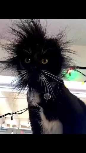 ����� ��������� �� ��������