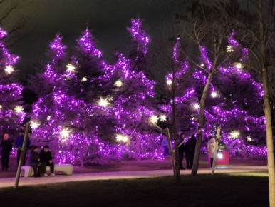 ���� �� ������� ������ � ����� �� ����� ����������