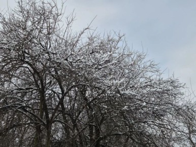 ������ ����� ������������ ���������