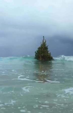 Новогодние праздники уплывают от нас, как эта дрейфующая на волнах ёлка
