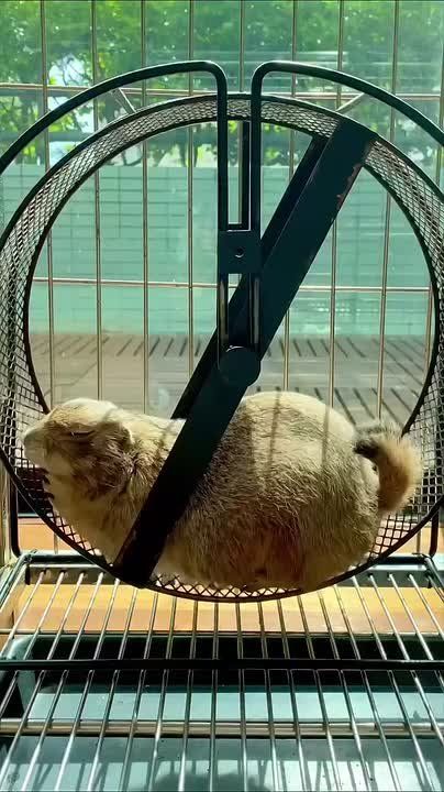 ������� �������������� ����� ���������� �������� �������� ���