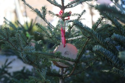 ��� ��������� ������������� ���� ����� ������ ����