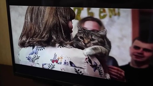 Пожар можно предотвратить. Одним из наиболее эффективных средств, которые позволяют предотвратить трагедию, остаются автономные пожарные извещатели