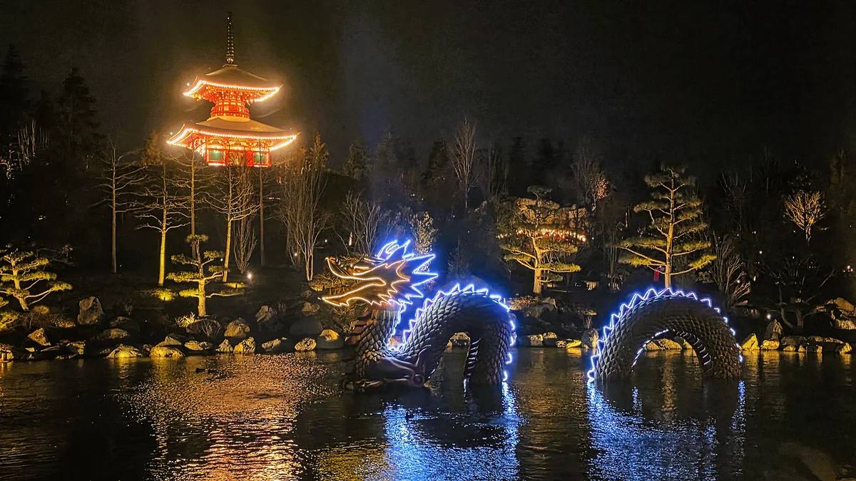 Как выглядит Японский сад в «парке Галицкого» в январе Как выглядит Японский сад в «парке Галицкого» в январе