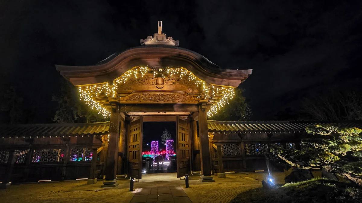 Как выглядит Японский сад в «парке Галицкого» в январе