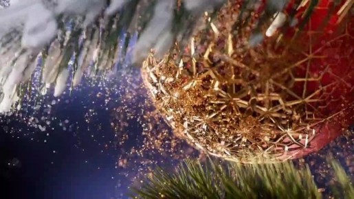 � ������������� ���� ������� ����������� ������� ������� �� �������������� � �����������