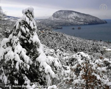 � ����� � ������ 10 ������ � � ������� ����� 11 ������ ��������� ������� �������� �������