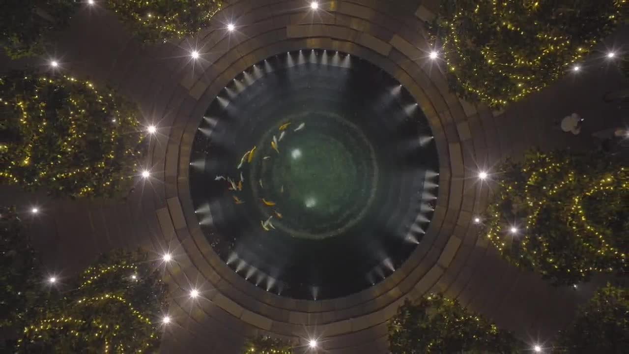 Нужны ли рыбам деньги?. Вопрос не о рожденных под таким знаком зодиака, а о настоящих рыбах, которые плавают в водоеме в парке Галицкого