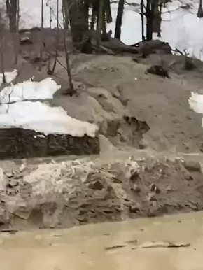 �� ��� � ����. ���� �������� �� ������ ����, �� � �����