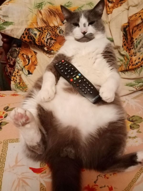 ������ ����, ������!. ��������� +12 ��