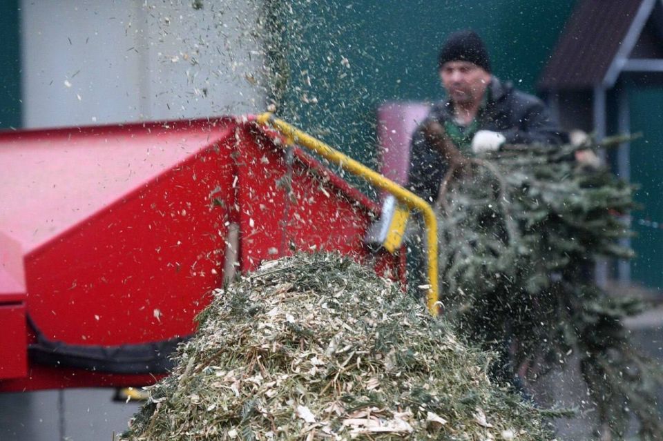 � 15 �� 20 ������ ����� ����� ���� �� �����������