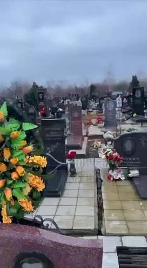 Рыжие тени среди мрамора. На Славянском кладбище подписчики заметили лису! Телеканал «Краснодар» в MAX