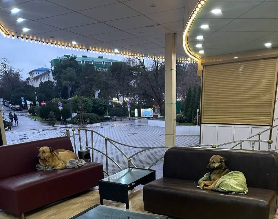 ������ ��������� ���. ���������� ���� � �����, � ���� ��������� - ��� � ����� �� ������� �����