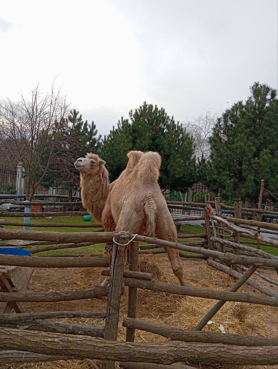 О погоде на 10 января. В Краснодарском крае облачно с прояснениями О погоде на 10 января. В Краснодарском крае облачно с прояснениями
