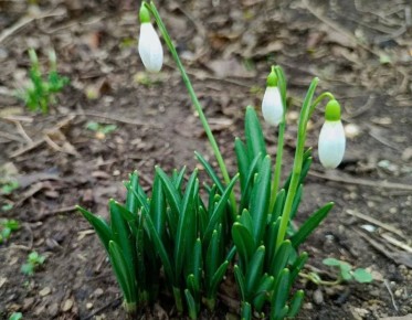 ����������� �������� � �����!