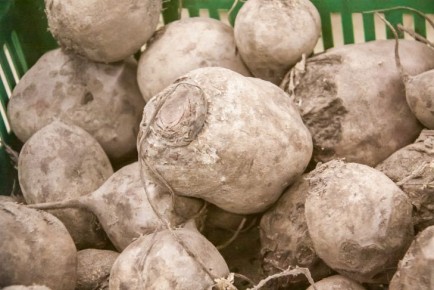 "���������� � ������ ������": ��� ����������� ���������� ���� � ������� �������