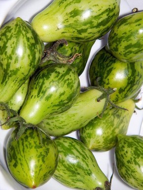 ���������� ������: ����������� ����������� � ������������ ��� ���������