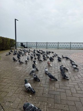 �������� �� ��������. ��������� ����� ���������� ����������� � �����