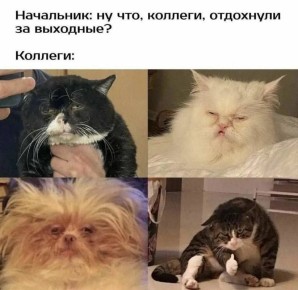 Завтра на работу, но есть и хорошие новости: январь пролетит быстро - работать будем всего три недели