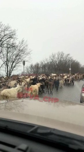 �������� � ������ ����� ������ ��-�� ������, ����������� �� ��������